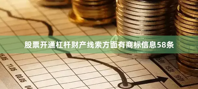 股票开通杠杆财产线索方面有商标信息58条