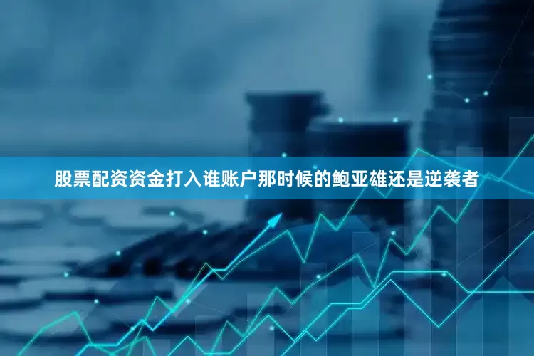 股票配资资金打入谁账户那时候的鲍亚雄还是逆袭者