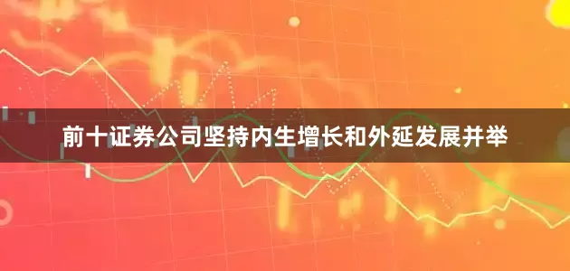 前十证券公司坚持内生增长和外延发展并举
