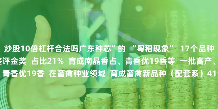 炒股10倍杠杆合法吗广东种芯”的  “粤稻现象”  17个品种入选  国家优质稻食味品质鉴评金奖  占比21%  育成南晶香占、青香优19香等  一批高产、优质、抗病水稻新品种    青香优19香  在畜禽种业领域  育成畜禽新品种（配套系）41个  占全国15%  其中30个肉鸡品种占全国超40%  “广明2号”白羽肉鸡配套系  实现了我国白羽肉鸡品种零的突破  累计推广600万套  其中出口4