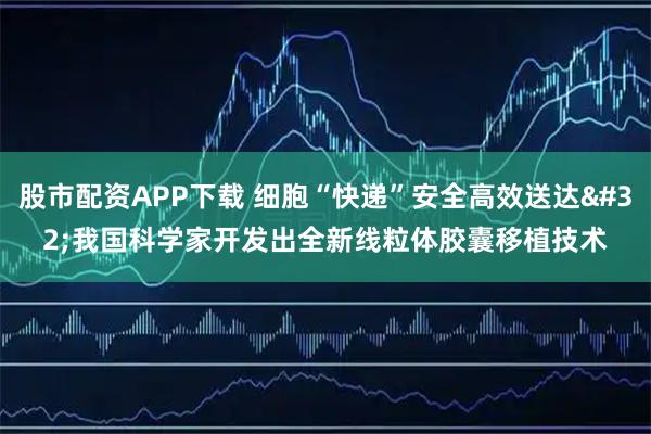股市配资APP下载 细胞“快递”安全高效送达 我国科学家开发出全新线粒体胶囊移植技术
