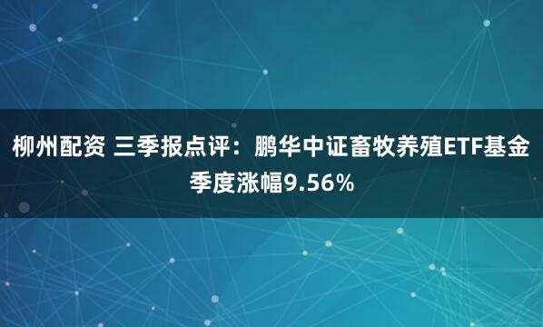 柳州配资 三季报点评：鹏华中证畜牧养殖ETF基金季度涨幅9.56%