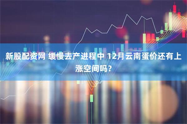 新股配资网 缓慢去产进程中 12月云南蛋价还有上涨空间吗?