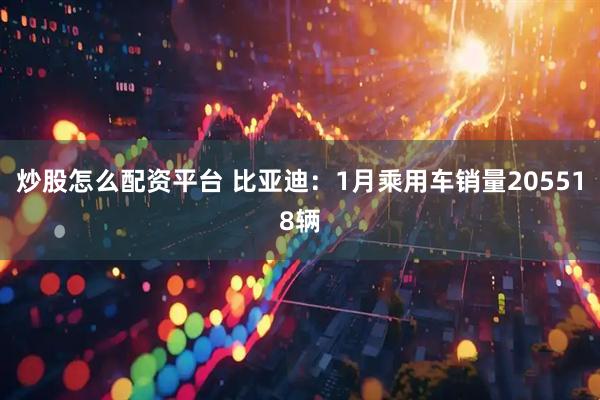 炒股怎么配资平台 比亚迪：1月乘用车销量205518辆