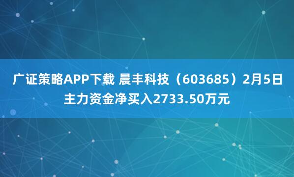 广证策略APP下载 晨丰科技（603685）2月5日主力资金净买入2733.50万元